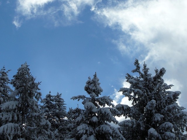 Gorski kotar